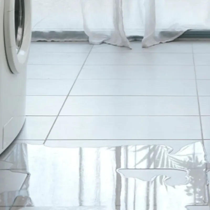Appliance Leak Cleanup in Saint Peters, MO